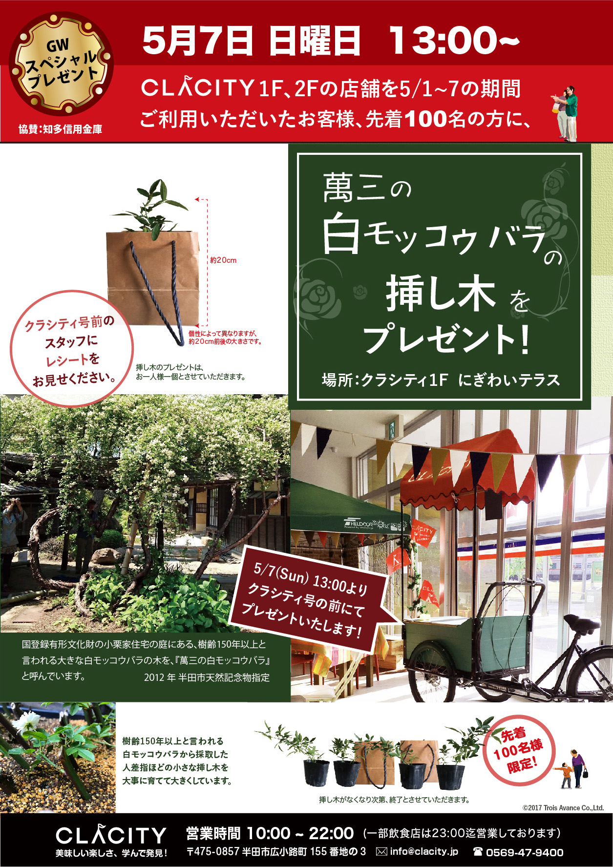 5 7 13 00 白モッコウバラの挿し木をプレゼント クラシティ